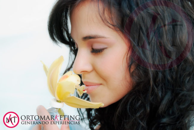 Aromas en marketing odontológico ortomarketing - Marketing dental