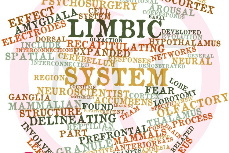 ortomarketing - Marketing dental