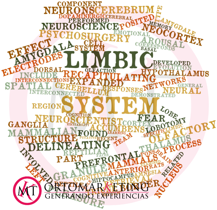 ortomarketing - Marketing dental